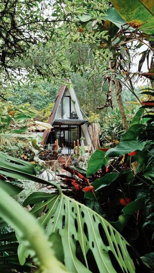 Hotel Glamping Salento Con Jacuzzi Climatizado Exterior foto